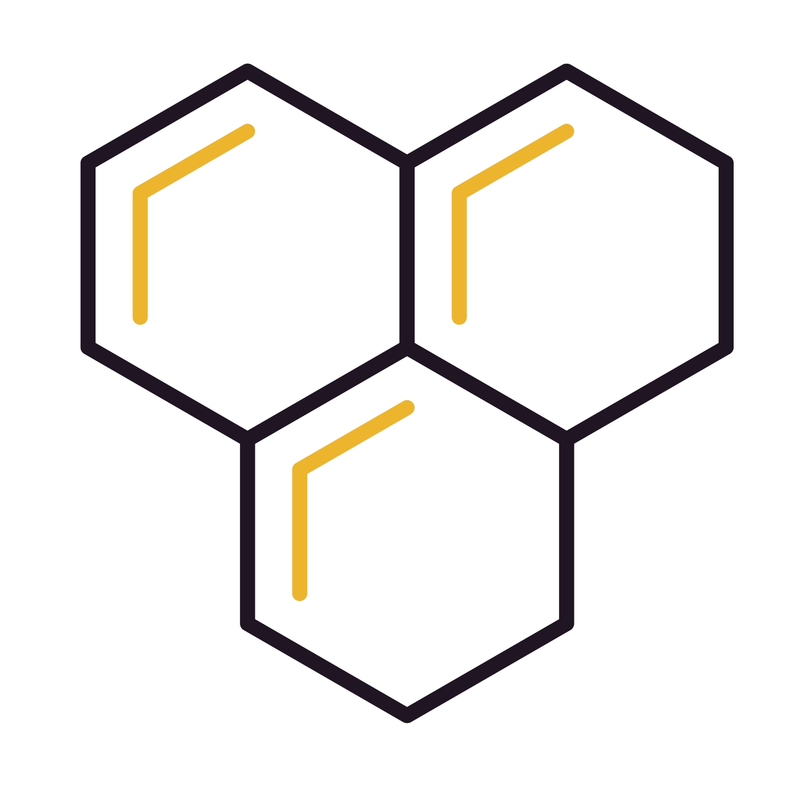 The Heart of Bee Systems Lab